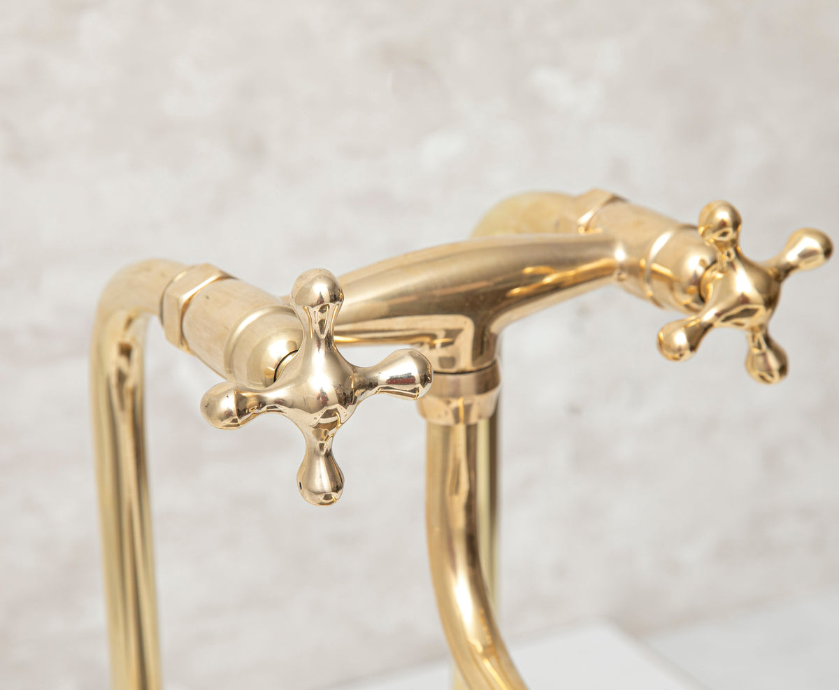Elephant Trunk Spout Brass Kitchen Faucet