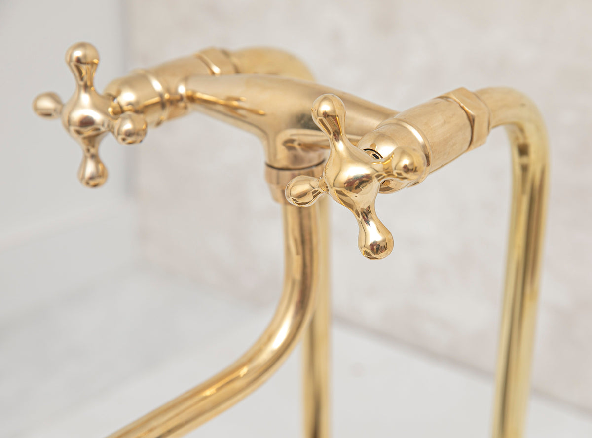 Elephant Trunk Spout Brass Kitchen Faucet