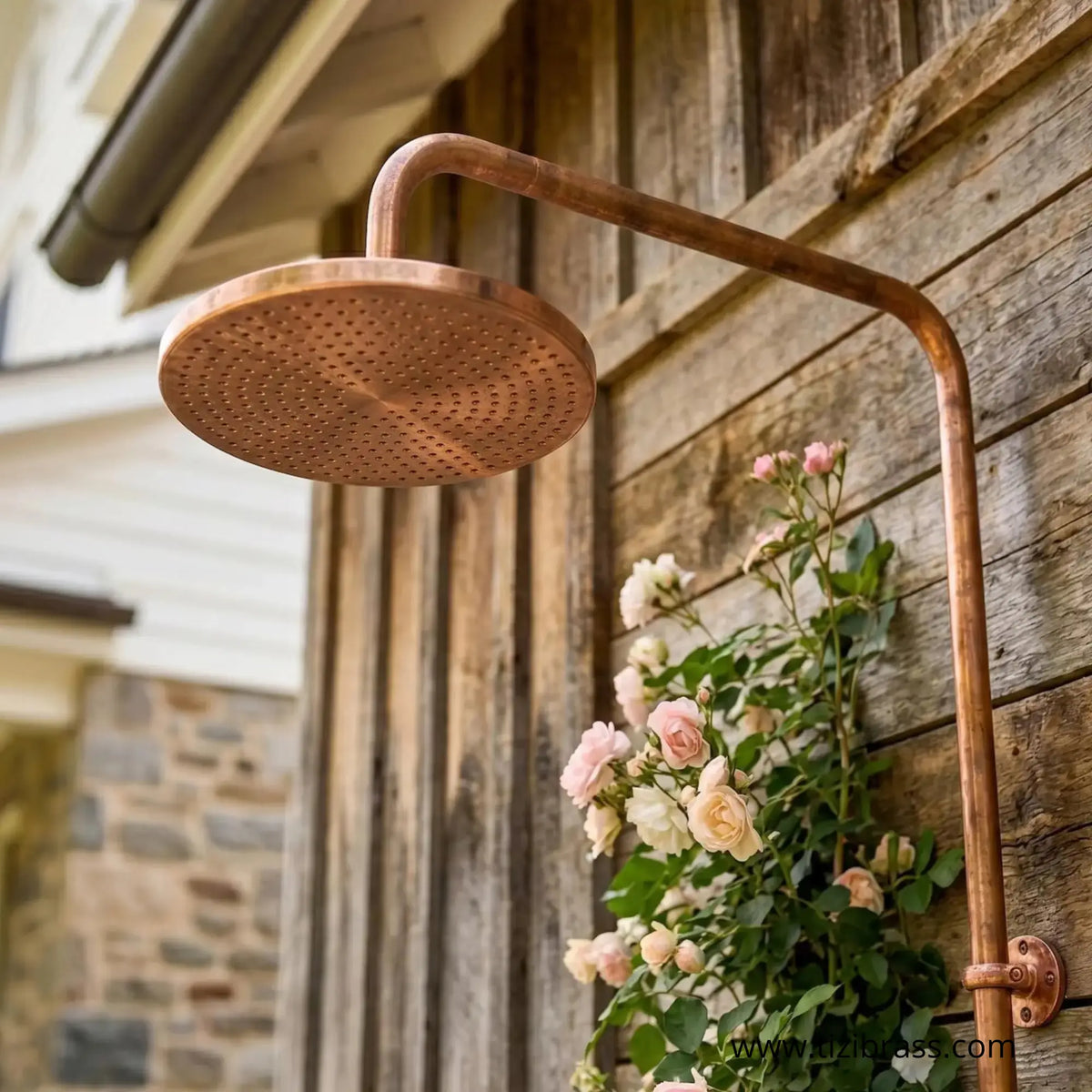 Close-up of a large round unlacquered brass rainfall outdoor shower head mounted against a rustic wood exterior wall with climbing roses. 